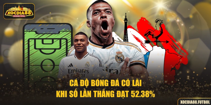 Cá độ bóng đá có lãi khi số lần thắng đạt 52.38%