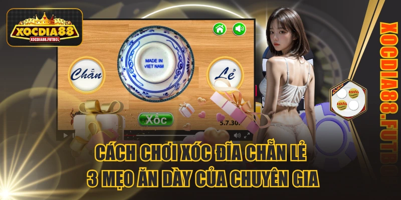 cách chơi Xóc Đĩa chẵn lẻ