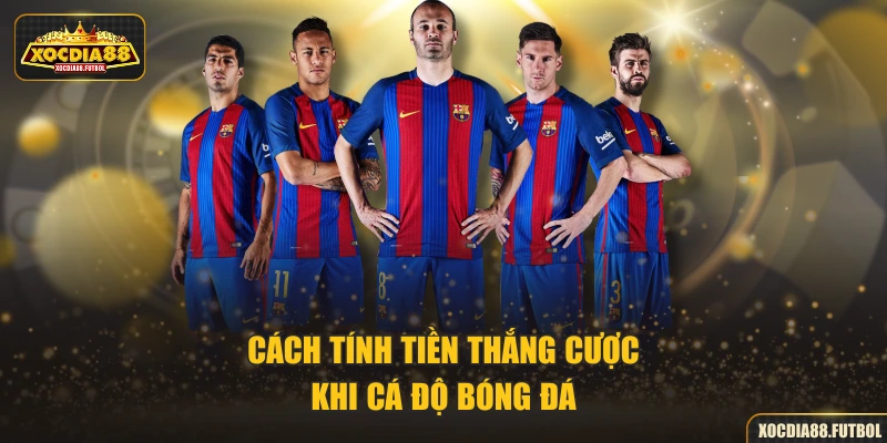 Cách tính tiền thắng cược khi cá độ bóng đá