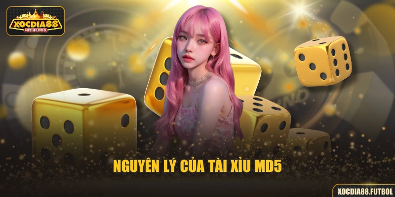 Nguyên lý của Tài Xỉu MD5
