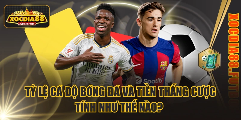 Cá độ bóng đá